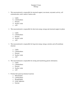 Standard 2 Exam Biology 1. This macromolecule is