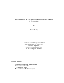 Interaction between the Type II Secretion Components