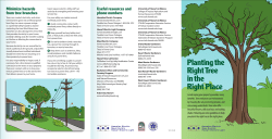 Planting the Right Tree in the Right Place
