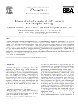 Influence of salt on the structure of DMPG studied