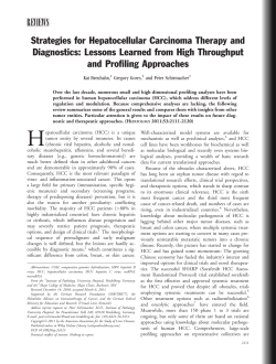 Strategies for hepatocellular carcinoma therapy and diagnostics