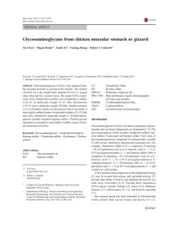 Glycosaminoglycans from chicken muscular stomach or gizzard