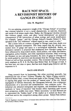 Race Not Space - Gangresearch.net