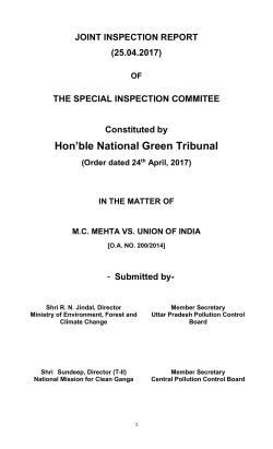 Joint Inspection Report (25.04.2017)