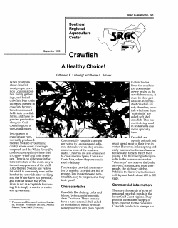 Crawfish: A Healthy Choice!