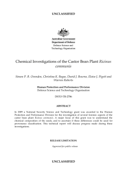 Chemical Investigations of the Castor Bean Plant Ricinus communis