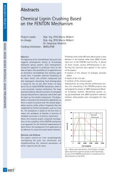 Chemical Lignin Crushing Based on the FENTON Mechanism
