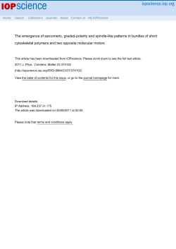 preprint in pdf format