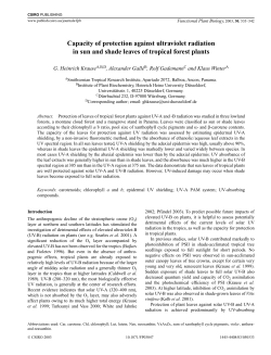 Capacity of protection against ultraviolet radiation in sun and shade
