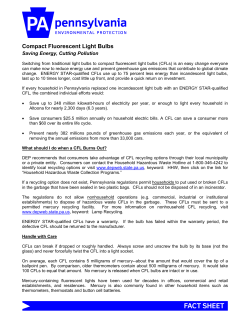 Compact Fluorescent Light Bulbs