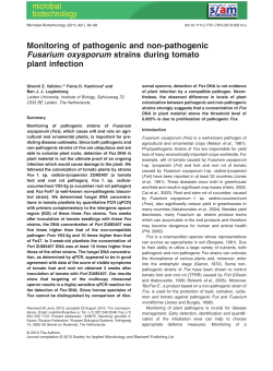Monitoring of pathogenic and non‐pathogenic Fusarium oxysporum