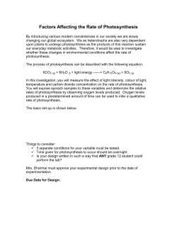 Factors Affecting the Rate of Photosynthesis