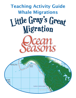 Teaching Activity Guide Whale Migrations