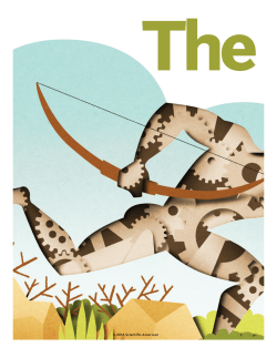 2016 Scientific American - Warmups &ndash; Warmup And Workout