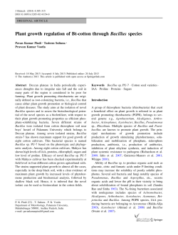 Plant growth regulation of Bt-cotton through Bacillus