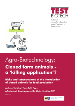 Cloned Farm Animals