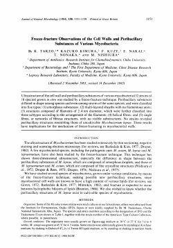 Freeze-fracture Observations of the Cell Walls and