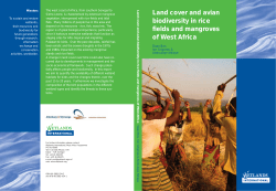 Land cover and avian biodiversity in rice fields and mangroves of