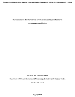 Haploidization in Saccharomyces cerevisiae induced by