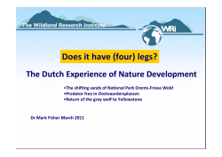 Does it have (four) legs? - Self