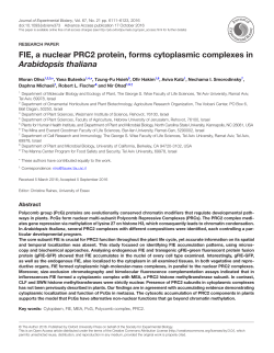 FIE, a nuclear PRC2 protein, forms cytoplasmic complexes in