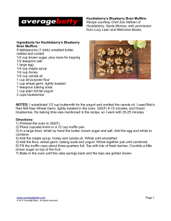 Huckleberry`s Blueberry Bran Muffins Recipe