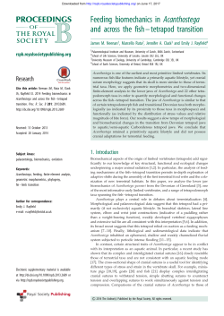 Feeding biomechanics in Acanthostega and across the fish