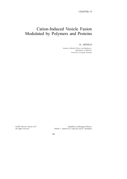 Cation-Induced Vesicle Fusion Modulated by Polymers and Proteins