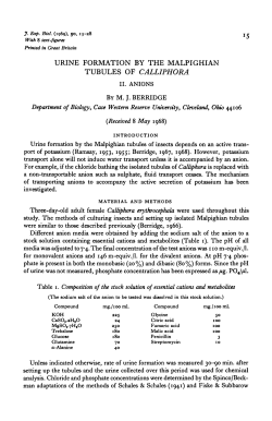 urine formation by the malpighian tubules of calliphora