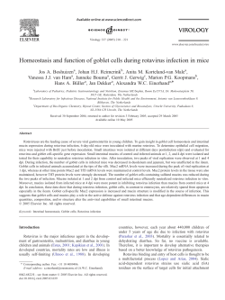 Homeostasis and function of goblet cells during rotavirus infection in