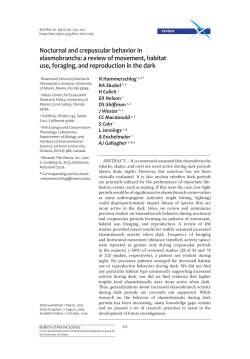 Nocturnal and crepuscular behavior in