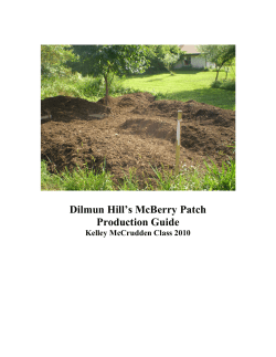 Dilmun Hill Berry Production Guide - Cornell University Agricultural