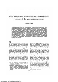 Some Observations on the Fine Structure of the Retinal Receptors of