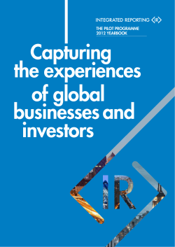 Capturing the experiences of global businesses and investors