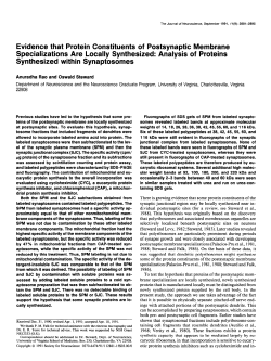 Evidence that Protein Constituents of Postsynaptic Membrane