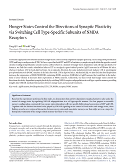 Hunger States Control the Directions of Synaptic Plasticity via