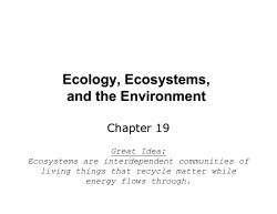Ecology, Ecosystems, and the Environment