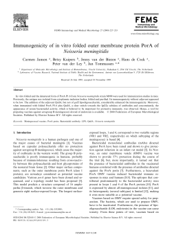Immunogenicity of in vitro folded outer membrane protein PorA of
