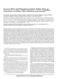 Exocyst SEC3 and Phosphoinositides Define Sites of Exocytosis in