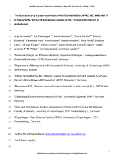 The Evolutionarily Conserved Protein PHOTOSYNTHESIS