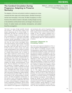 The Cerebral Circulation During Pregnancy: Adapting to Preserve