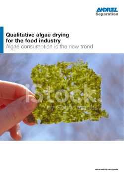 Qualitative algae drying for the food industry Algae consumption is