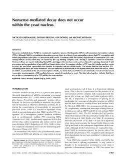 Nonsense-mediated decay does not occur within the yeast nucleus