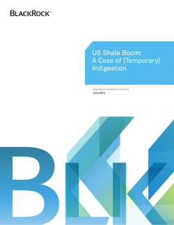 US Shale Boom: A Case of (Temporary) Indigestion