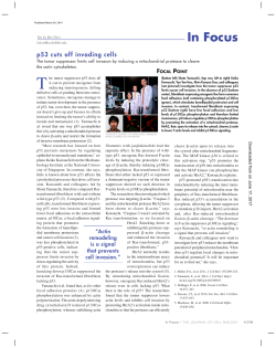 In Focus - The Journal of Cell Biology