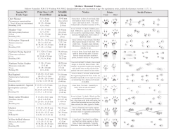 Mammal Tracks Guide
