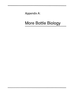 Appendix A - Wisconsin Fast Plants