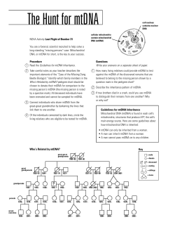 The Hunt for mtDNA
