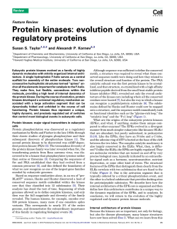 Protein kinases: evolution of dynamic regulatory