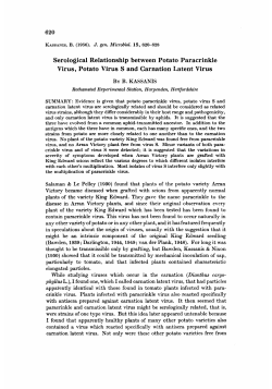 Serological Relationship between Potato Paracrinkle Virus, Potato
